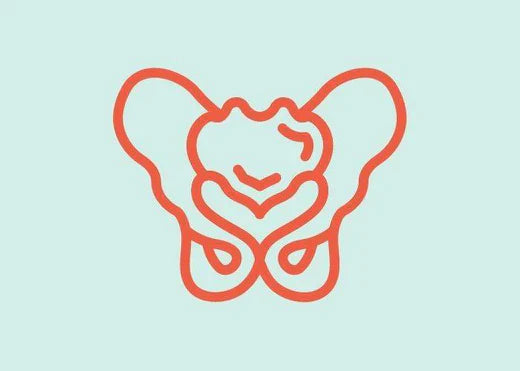 Beginner's guide to pelvic floor physical therapy