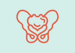 Image of Beginner's guide to pelvic floor physical therapy