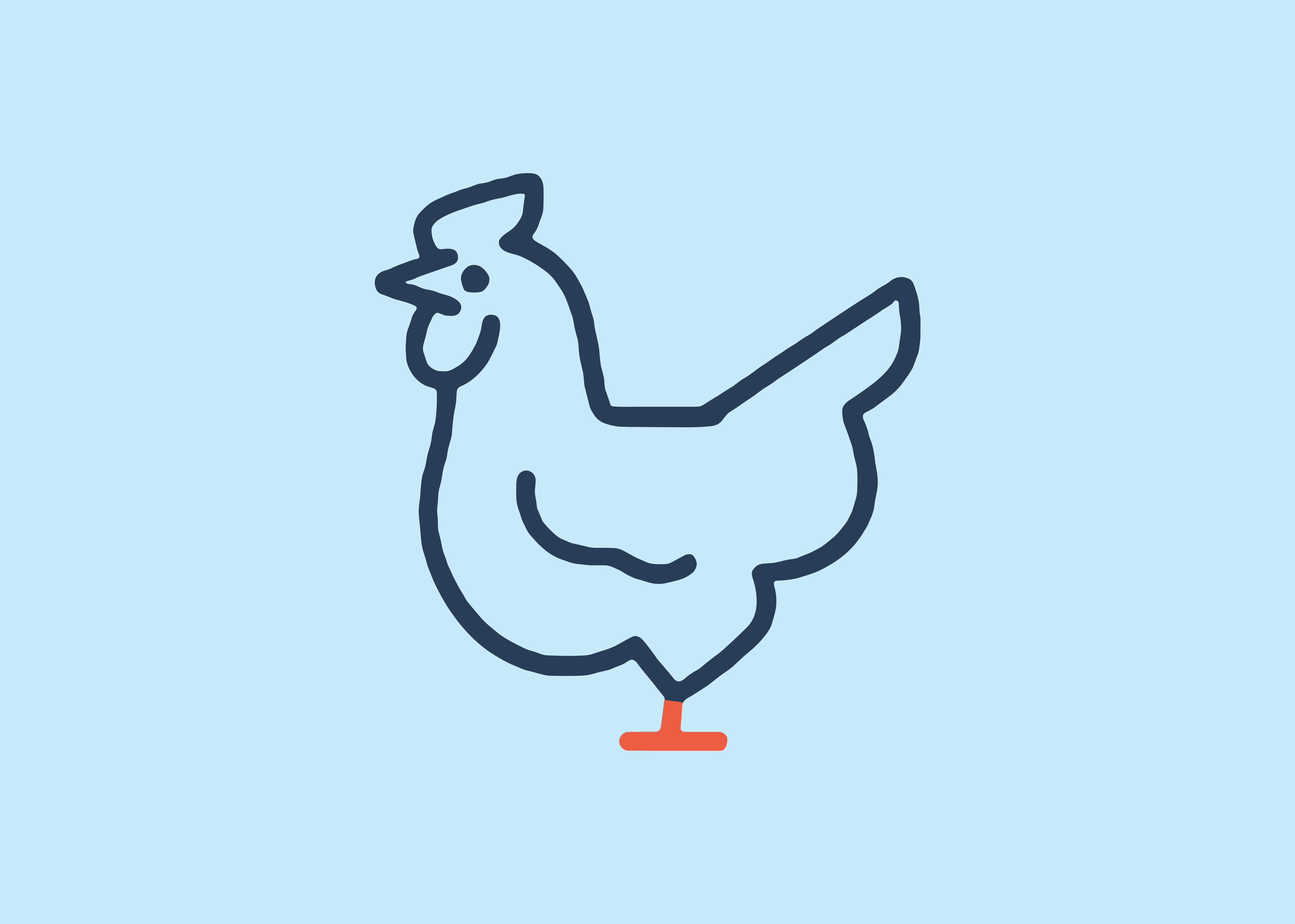 Can chicken really cause a UTI? Here’s what the research says