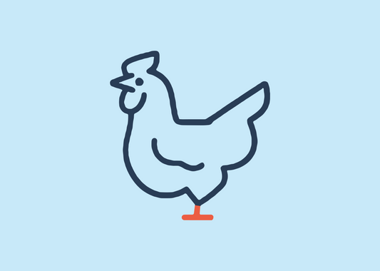 Can chicken really cause a UTI? Here’s what the research says