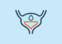 Image of How to start bladder training for better urinary control
