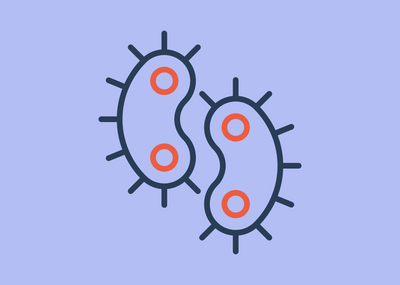 The untold story of polymicrobial UTIs: When more than one bacteria is ...