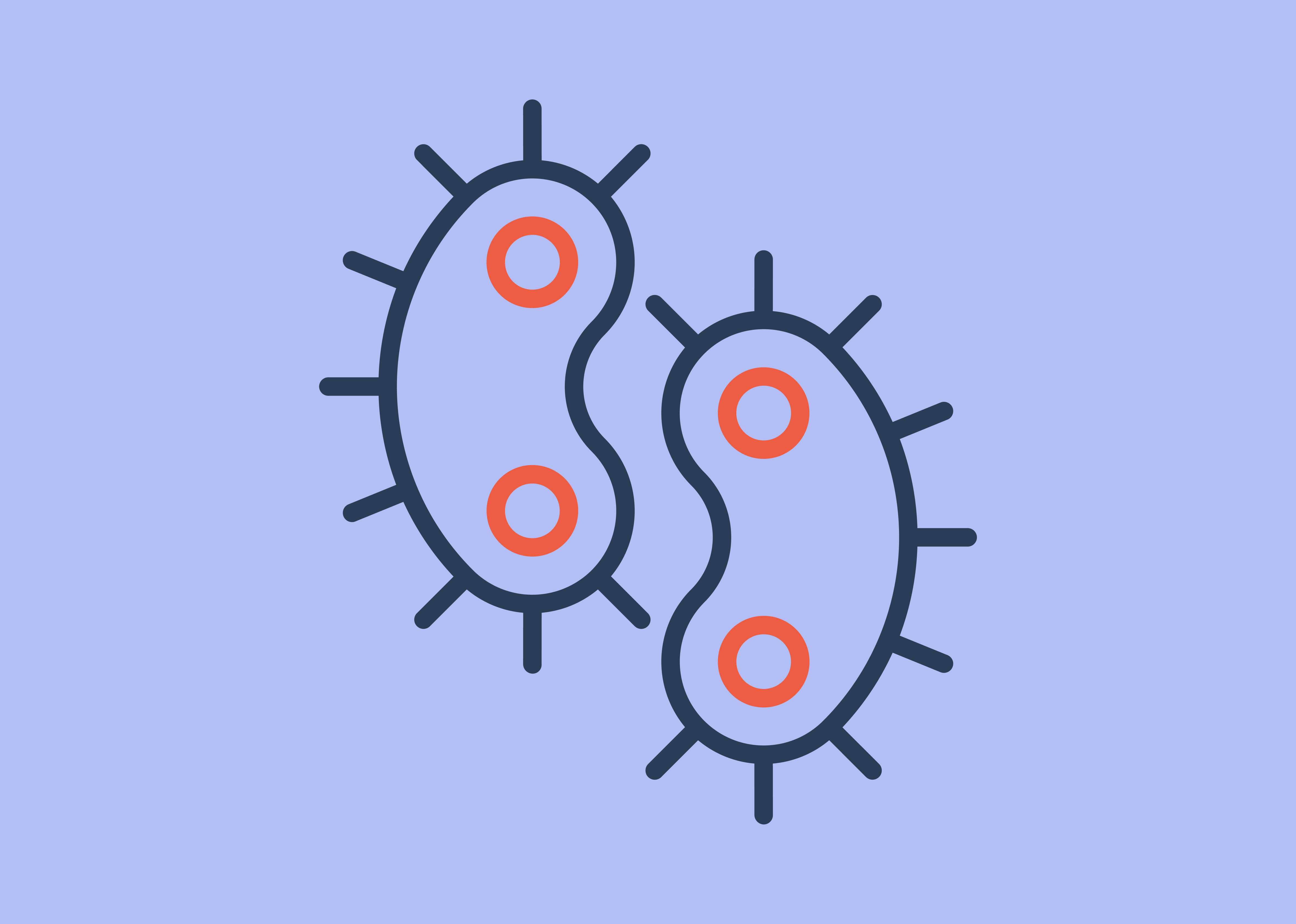 The Untold Story of Polymicrobial UTIs: When More Than One Bacteria Is to Blame