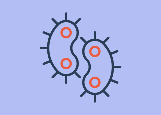 The Untold Story of Polymicrobial UTIs: When More Than One Bacteria Is to Blame