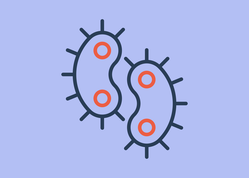 The untold story of polymicrobial UTIs: When more than one bacteria is ...