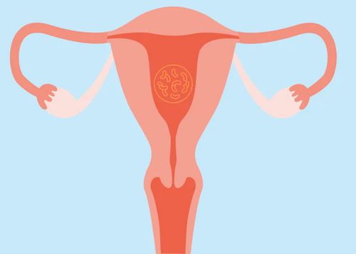 The vaginal microbiome: What you need to know