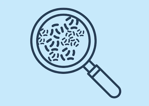 Spot the Symptoms of Bacterial Vaginosis, Yeast Infections, and Cytolytic Vaginosis