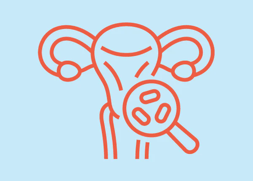 What is BV? How You Can Stop the Cycle