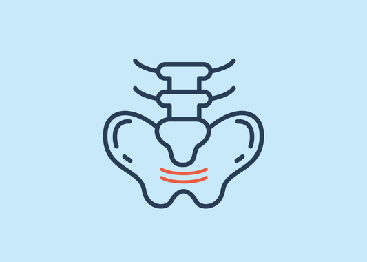 What is the pelvic floor? How the pelvic floor supports bladder control
