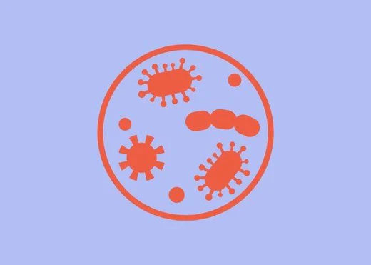 Biofilms and their role in recurrent UTIs