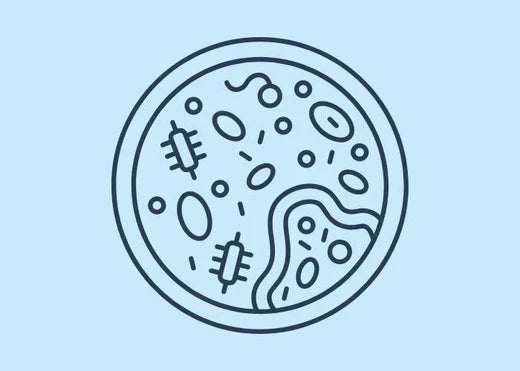 The difference between BV, UTIs, and yeast infections