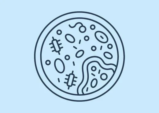 The Difference Between BV, UTIs, and Yeast Infections