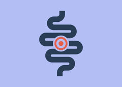 Image of The constipation-UTI correlation