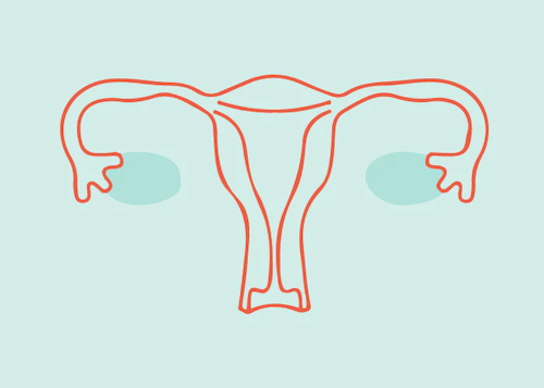 How does vaginal health influence UTI risk?