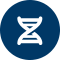 About us support icon
