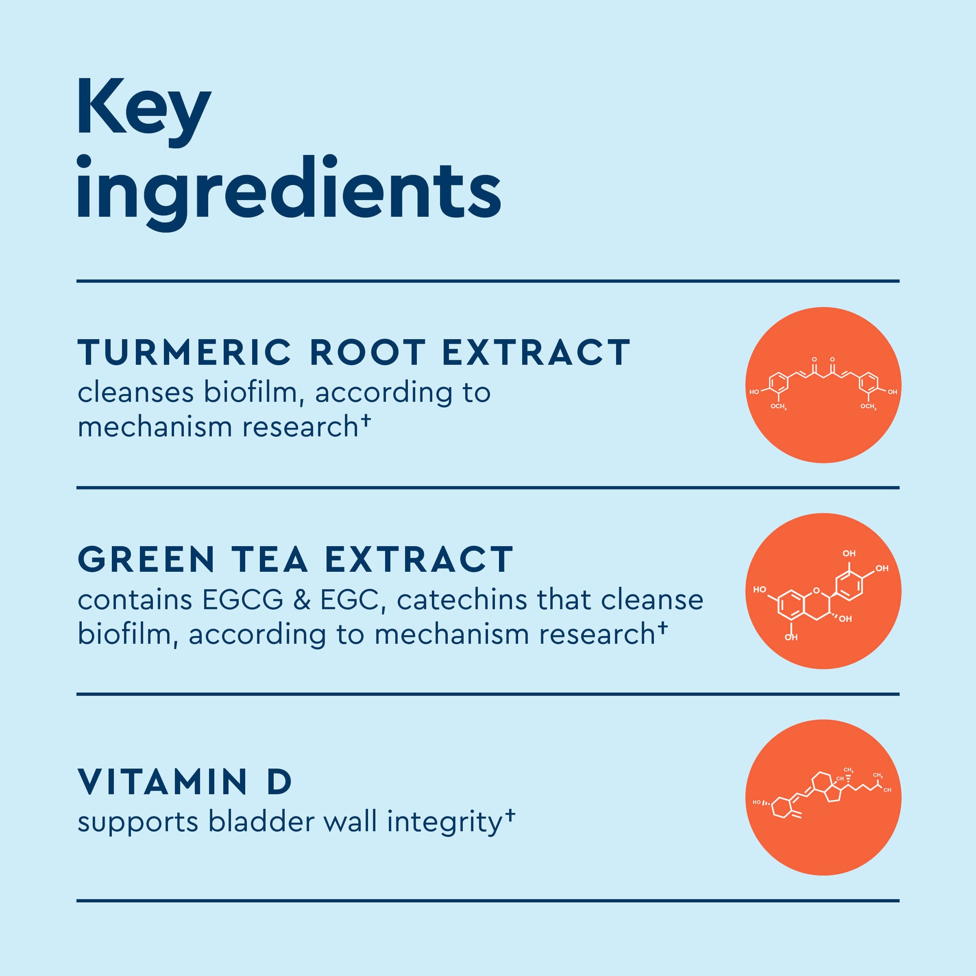 Uqora Defend Key Ingredients: Turmeric Root Extract, Green Tea Extract, and Vitamin D