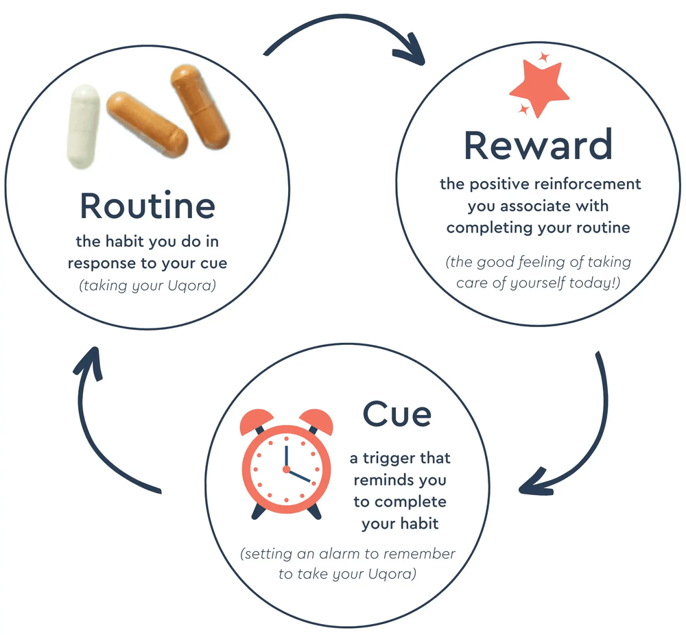 5 steps to remember to take your Uqora | Uqora®